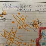 C�era addirittura chi il diario lo aveva in condivisione. �Oltre al mio personale ne avevo uno che dividevo con la mia amica Gaia � ci dice divertita la 25enne Emanuela �. L� sopra giocavamo a tris durante le ore scolastiche...